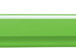 LAMY rollerball safari green