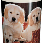 Läufer prullenbak ´Hond´