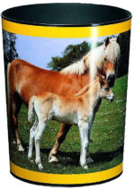 Läufer prullenbak ´Paard en Veulen´