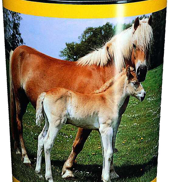 Läufer prullenbak ´Paard en Veulen´