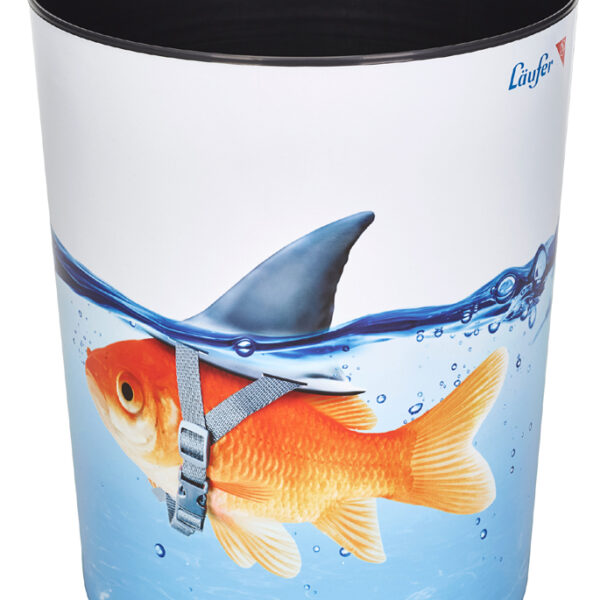 Läufer prullenbak 'Goudhaai'