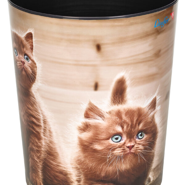 Läufer prullenbak 'Nieuwsgierige Katjes'