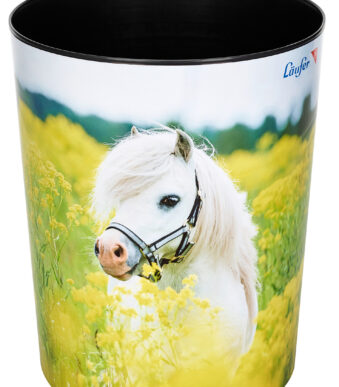 Läufer prullenbak Paard in het veld