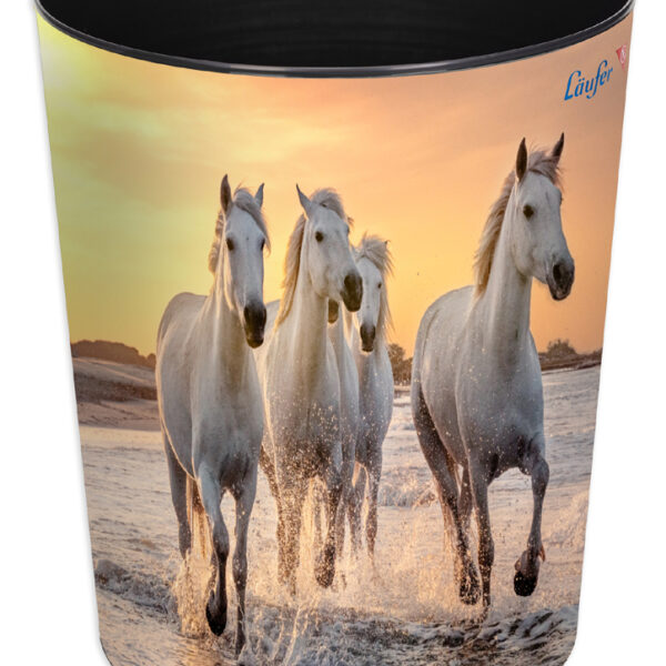 Läufer prullenbak Paarden aan het strand