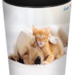 Läufer prullenbak Kat en Hond