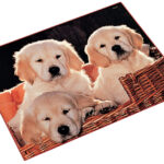 Läufer schrijfonderlegger Honden, 400 x 530 mm