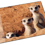 Läufer schrijfonderlegger Stokstaartjes, 400 x 530 mm