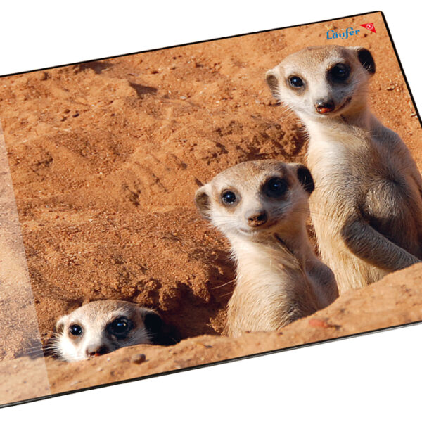 Läufer schrijfonderlegger Stokstaartjes, 400 x 530 mm