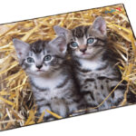 Läufer schrijfonderlegger Katten in het Stro, 400 x 530 mm