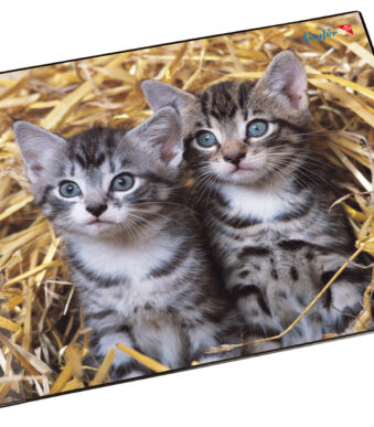 Läufer schrijfonderlegger Katten in het Stro, 400 x 530 mm