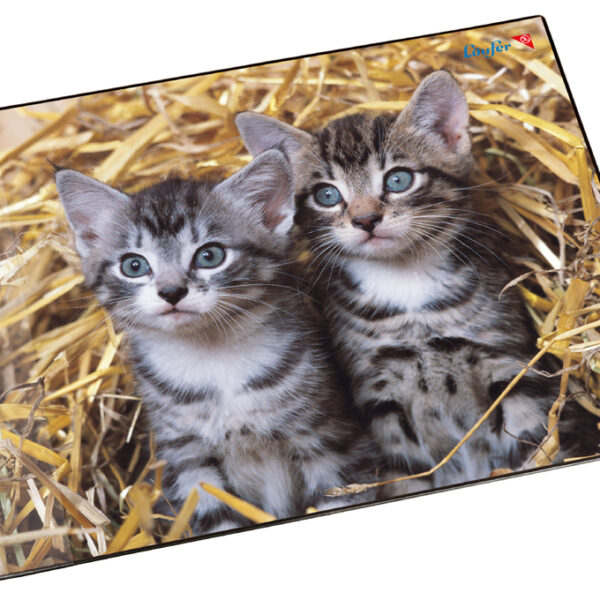 Läufer schrijfonderlegger Katten in het Stro, 400 x 530 mm