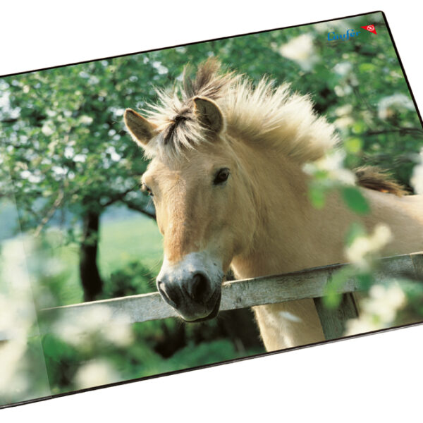 Läufer schrijfonderlegger Paard in de wei, 400 x 530 mm