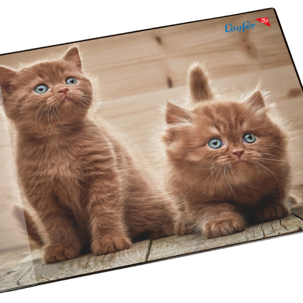 Läufer schrijfonderlegger Nieuwsgierige Katjes, 400 x 530 mm