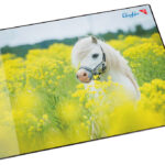 Läufer schrijfonderlegger Paard in het Koolzaadveld, 400 x 530 mm