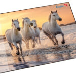 Läufer schrijfonderlegger paarden aan het strand, 400 x 530 mm