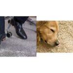 rillstab vloerbeschermingsmat, (B)1.220 x (D)920 mm, voor tapijt