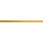 LEITZ metale strip voor ALPHA-hangmap