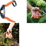 Garten PRIMUS reserveveer voor 'RosenWonderschaar'