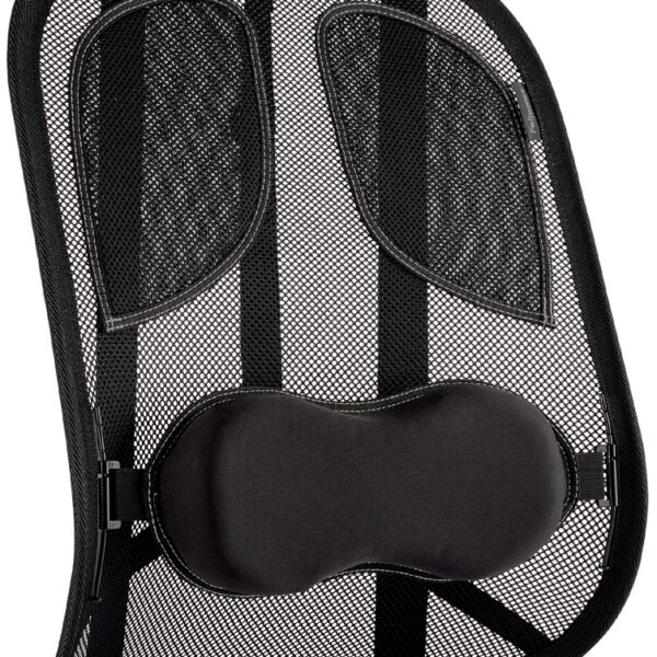Fellowes net-rugsteun Professional Series, zwart