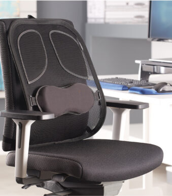 Fellowes net-rugsteun Professional Series, zwart