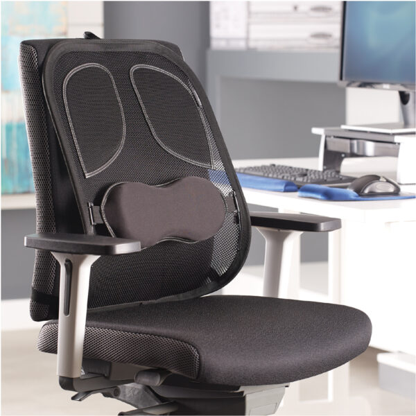 Fellowes net-rugsteun Professional Series, zwart