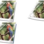 DURABLE showtas PREMIUM, DIN A4, PP, rand wit