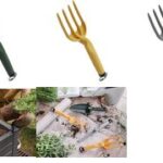 tera tuinvorkje 'Gaia 04', curry