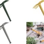 tera dubbele hak 'Gaia 07', curry