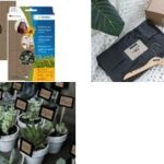 HERMA universele etiketten Silphie, 25 x 40 mm, naturelbruin