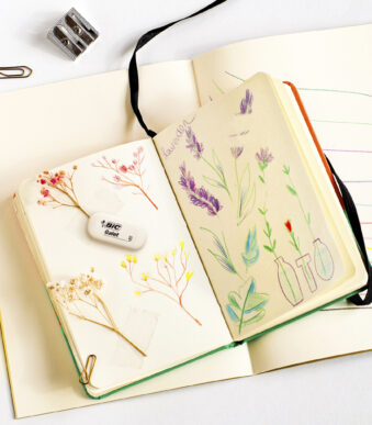 BIC rubber vlakgum Galet, wit, ovaal