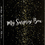 BIC schrijfset 'My Surprise Box' met notitieboek, 16-delig