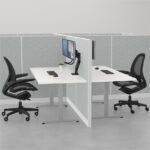 Fellowes dubbele monitorarm Eppa Crossbar, zwart