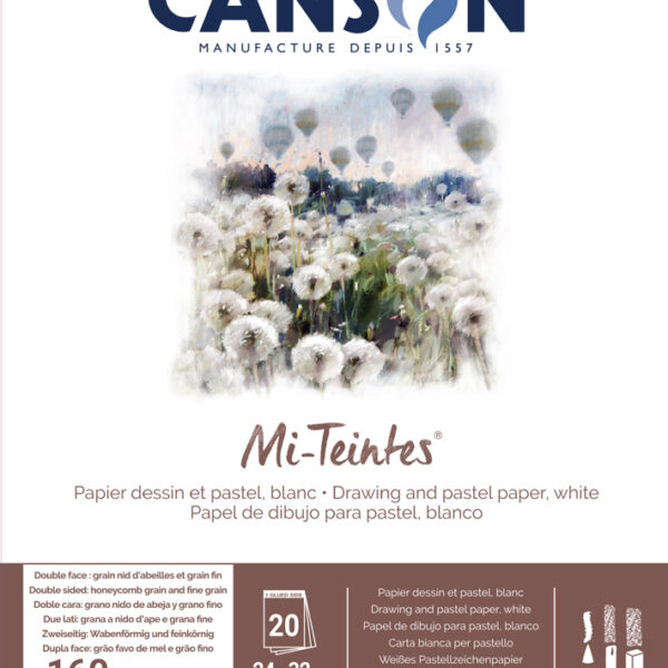 CANSON tekenpapier Mi-Teintes, in blok, 240 x 320 mm, wit 335