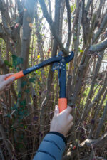 Garten PRIMUS takkenschaar Dual-Cut, lengte: 420 mm