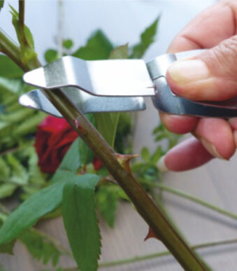 Garten PRIMUS rozenontdoorner, lengte: 145 mm