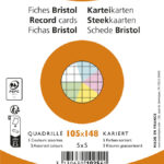 EXACOMPTA systeemkaarten, DIN A6, geruit, kleuren assorti