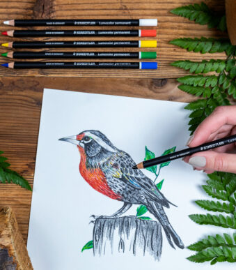 STAEDTLER droge marker Lumocolor permanent glasochroom, 6 op blister