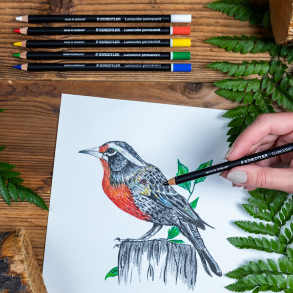 STAEDTLER droge marker Lumocolor permanent glasochroom, 6 op blister