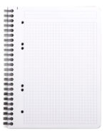 RHODIA collegeblok GREENBOOK, DIN A5+, geruit, zwart