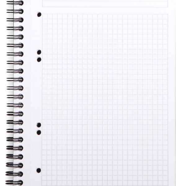 RHODIA collegeblok GREENBOOK, DIN A5+, geruit, zwart