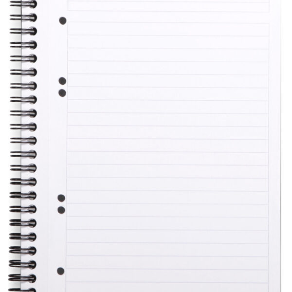 RHODIA collegeblok GREENBOOK, DIN A5+, gelinieerd, zwart