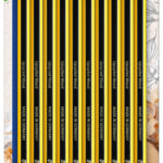 STAEDTLER potlood Noris, zeshoekig, HB, 10 stuks op blister