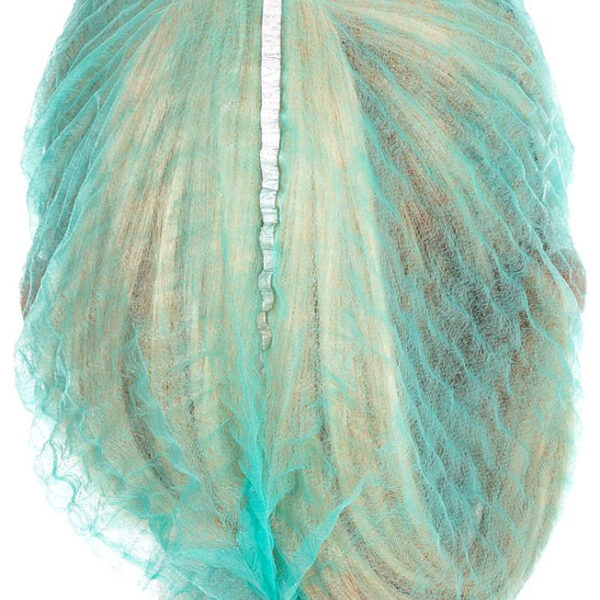 HYGOSTAR PP-clip-on haarnetje Detect, diameter: 500 mm, groen