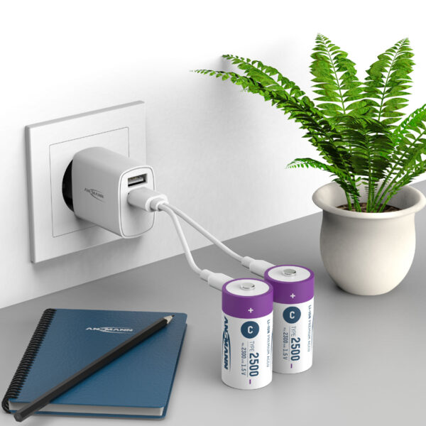 ANSMANN Li-Ion oplaadbare batterij Baby C met USB-C koppeling, 2 stuks in doosje