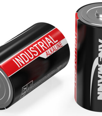 ANSMANN alkaline batterij 'Industrial', Mono D, doosje van 10