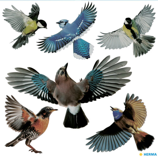 HERMA waarschuwingsetiketten 'Vogels', gekleurd