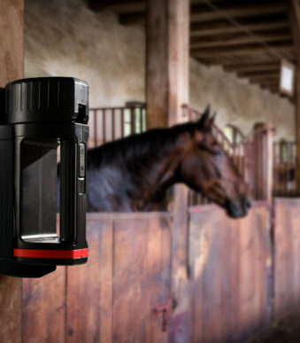 ANSMANN LED-handschijnwerper HS5R, met geintegreerde accu, zwart