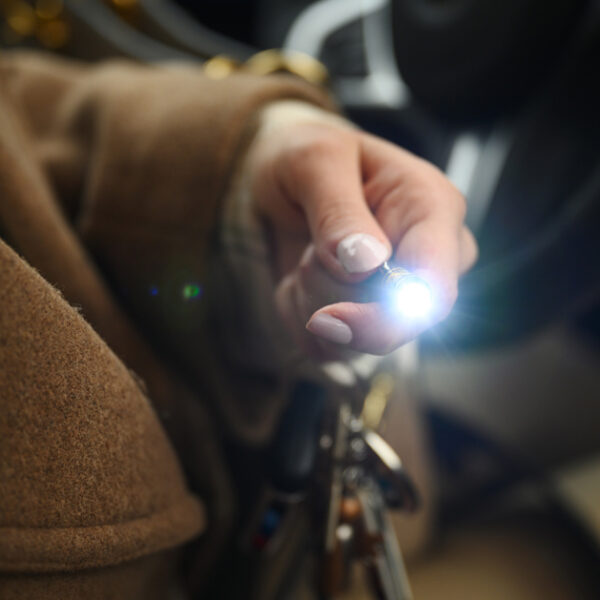 ANSMANN Laserpointer '2in1', zwart