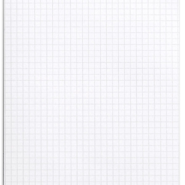 RHODIA schrijfblok no. 16, DIN A5, geruit, wit