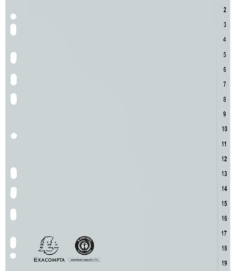 EXACOMPTA kunststof tabbladen, 1-20, A4, 20-delig, grijs